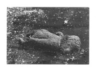 Pocztówka - Małpka pośród ofiar wojny i prześladowań