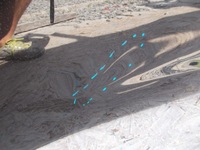 фото thumb №5, Двері задня задні праве alfa romeo stelvio