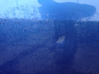 фото thumb №2, Двері задні задня праве renault laguna iii fv