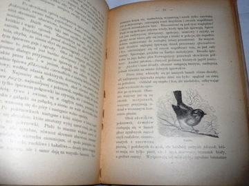 Наш лес и его обитатели Дьяковский Уникат 1898г.