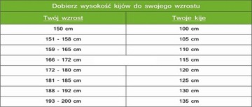 Fizan Action Ski Poles 130 см черные