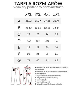 Sportowe Spodnie Dresowe Damskie Bawełna Trening RENNOX 117 3XL/32 stalowe