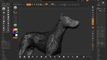 КУРС - ZBRUSH 2018 ОТ БАЗОВ - ЛУЧШЕ, ЧЕМ КНИГА