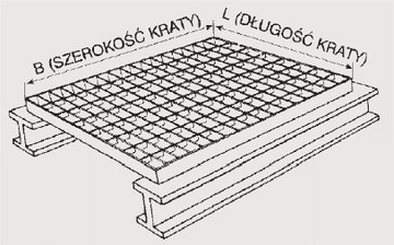 Решетка платформы WEMA 1100x1000 Платформа OC 30x2 мм.