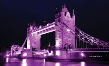 ФОТОобои LONDON BRIDGE TOWER 1A FM ​​104x70.5 F237