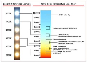 Светодиод COB 10Вт 9-12В 6000К 900-1000Люмен + бесплатно