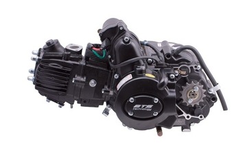 SILNIK 110 cc BTS 139 FMB JUNAK 901 902 904 SPRINT