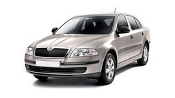 ВСТАВКА В ЗЕРКАЛО ЛЕВОЕ SKODA OCTAVIA 2 II 2004-08