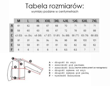 Ciepła Kurtka Męska Przejściowa Wiatrówka Lekko Ocieplana JRX01 PL L grafit