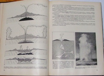 Основы геологии. Динамическая историческая геология.