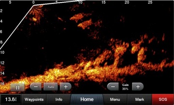 Система датчиков Garmin Panoptix LiveScope