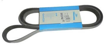 Strap polyclinic 6pk1725 dayco, фото