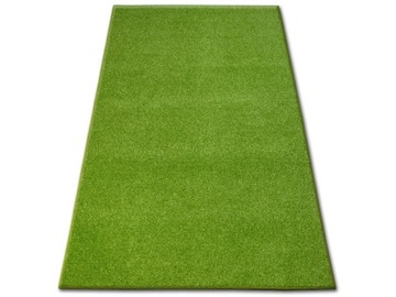 Carpet 95x160 inverness whole mild plush, фото