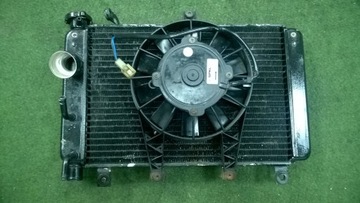 Water radiator liquids triumph speed four 04r tt 600, фото