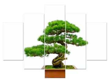 Image on canvas bonsai 150x105 bonsai 1206a_ 5h, фото