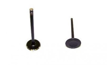 Valve pontiac trans sport 2300 cubic cm valves, фото
