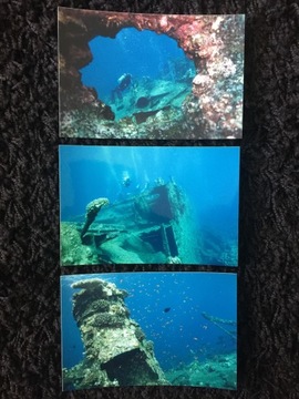 Bumper fishes diving wraki ships 3 pieces, фото