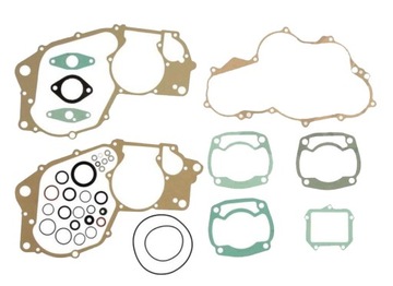 Gaskets complete rotax 123 aprilia rx rs af1 125, фото