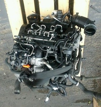 Engine passat eos jetta 2.0 tdi ceg 2010, фото