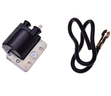 Bajaj atl spirit sunny - ignition coil з block, фото