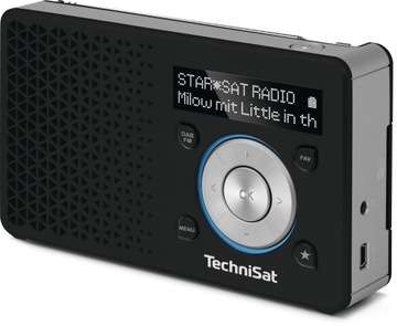 Radio sieciowe DAB+, FM TechniSat DIGITRADIO 1- kolor czarny