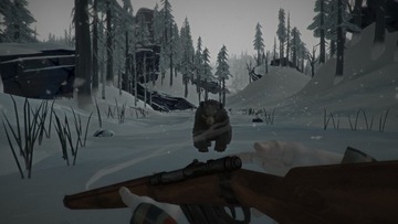 THE LONG DARK SURVIVAL EDITION PL ПК STEAM KEY