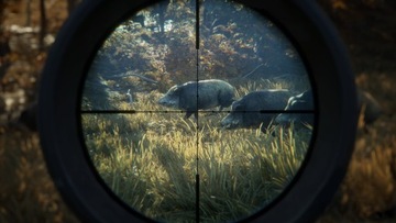 THEHUNTER HUNTER CALL OF THE WILD PL ПК + 4 DLC STEAM KEY + БЕСПЛАТНО