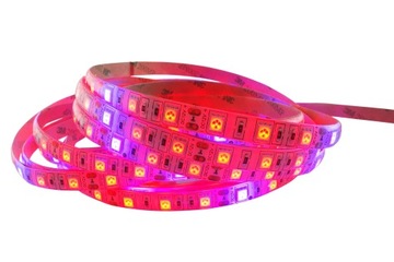 ZESTAW taśma LED 300 GROW IP65 wzrostu roślin 1m
