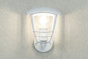 Настенный светильник Philips для сада белый E27 60 Вт