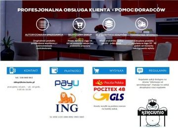 Грузовой вариант REJS multi P 200/2 серебристый