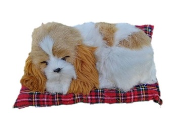 PIES ŚPIĄCY NA PODUSZCE PIESEK MAŁY COCKER SPANIEL