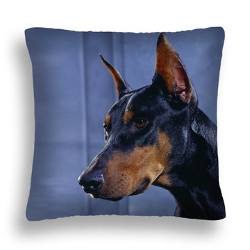 PODUSZKA PSY 02 DOBERMAN POSZEWKA JASIEK 40X40 24H