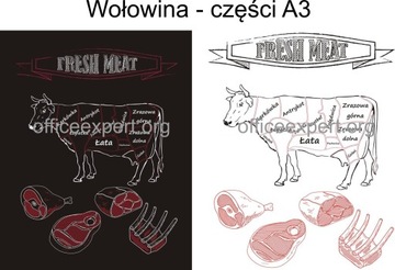 PLAKAT ROZBIÓR MIĘSA - Wołowina części części krowa w antyramie A3 mięso