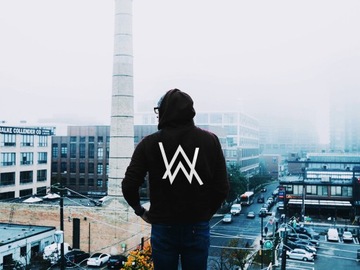 Мужская толстовка ALAN WALKER FADED ALONE DIABLO HOOD