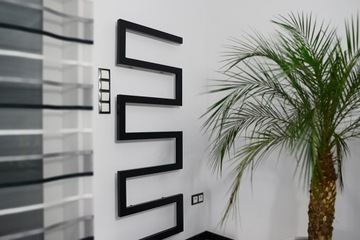 Современный радиатор SNAKE 155X60см цвета