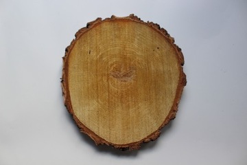 Деревянный срез, диск из березы, 30-35 см.