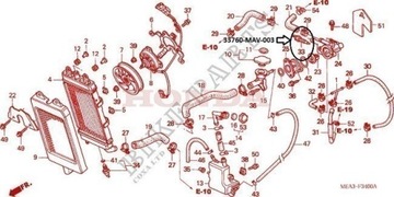 CZUJNIK TEMPERATURY SILNIKA HONDA VT 125 600 750 1100 Shadow VTX 1300