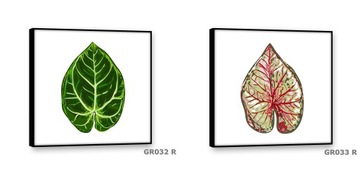 Картины на холсте 40х40 Современная картина ЛИСТЬЯ