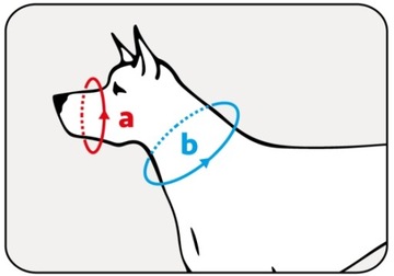 Намордник для собаки AMI PLAY (N5) — XL — окружность 21-25 см, ротвейлер