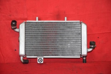 Радиатор Piaggio Hexagon 125 250