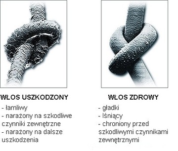 OLEJEK ARGANOWY ARGAN / CZYSTY DO WŁOSÓW / Espania