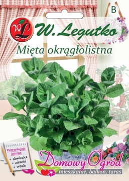 DOMOWY OGRÓD balkon nasiona Mięta okrągłolist 0,1g