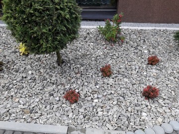 ГНЕЙС КАМЕННАЯ КОРА 11-31,5 КУРЬЕРСКАЯ ДОСТАВКА