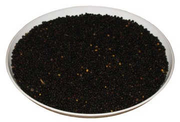 RZEPAK PASZOWY 1KG CZYSTE NASIONA PASZA PASZOWE