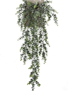sztuczny Eukaliptus pnącze 75 cm pnącza pnące