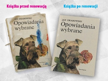 Pan Samochodzik renowacja naprawa odnowienie