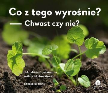 Co z tego wyrośnie? Chwast czy nie jaka to roślina