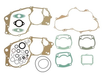 Uszczelki komplet ROTAX 123 APRILIA RX RS AF1 125