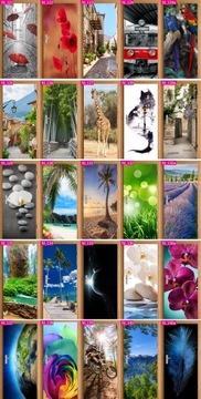 фото ориг. №3, Sticker photo wallpaper on door tree as parquet