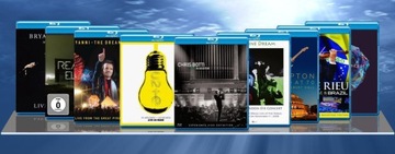 THE BEACH BOYS LIVE IN CONCERT BLU-RAY